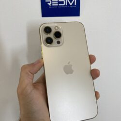 iPhone 12 Pro Max reconditionné à Nantes